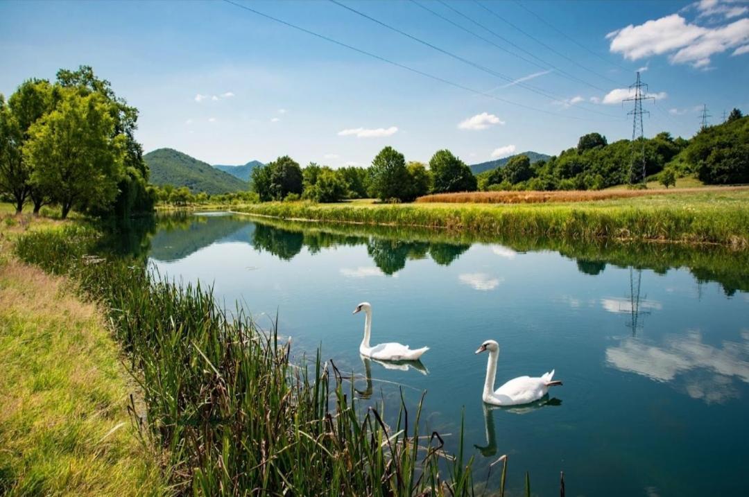 Apartman Swans Otočac Extérieur photo