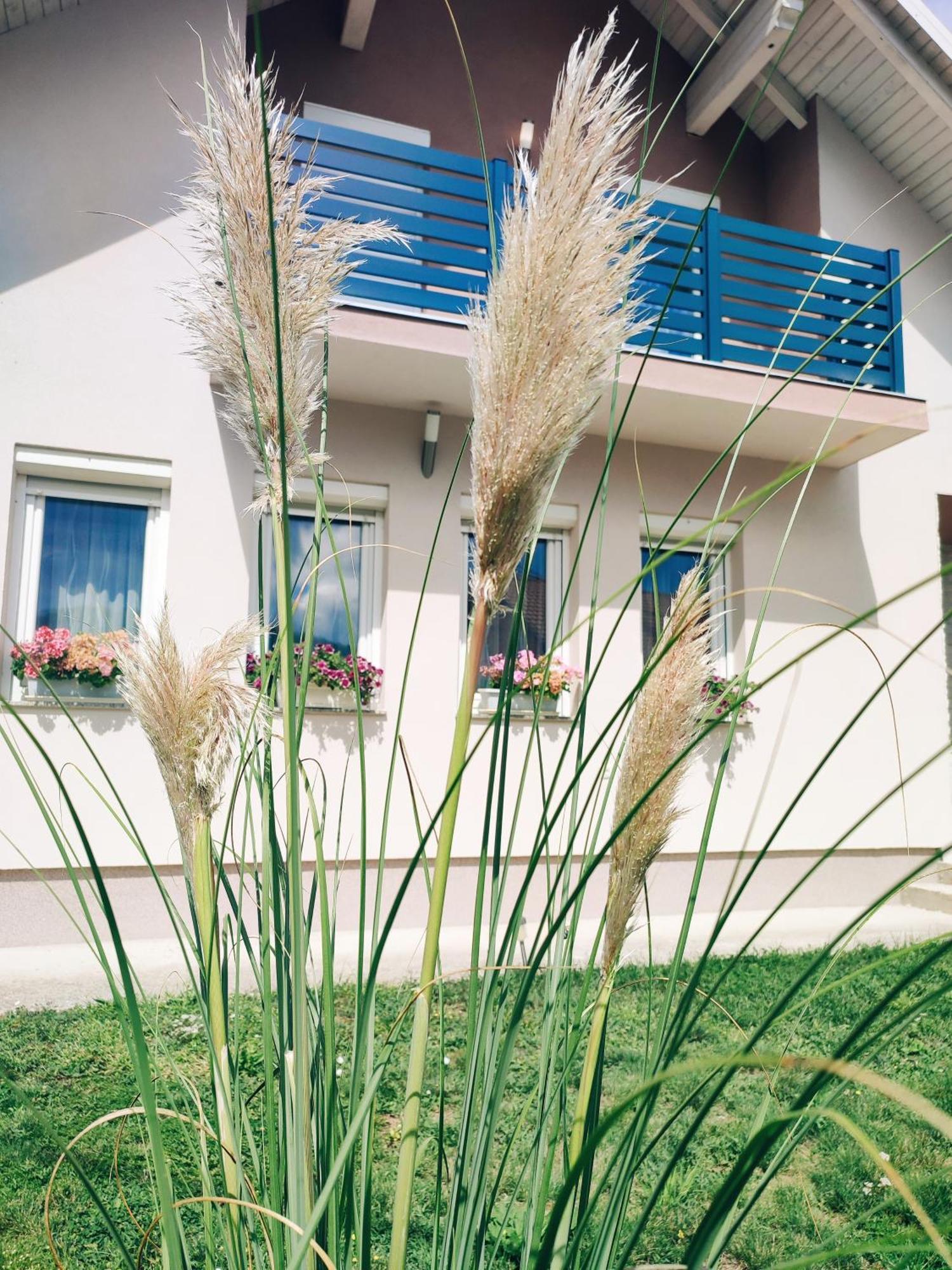 Apartman Swans Otočac Extérieur photo
