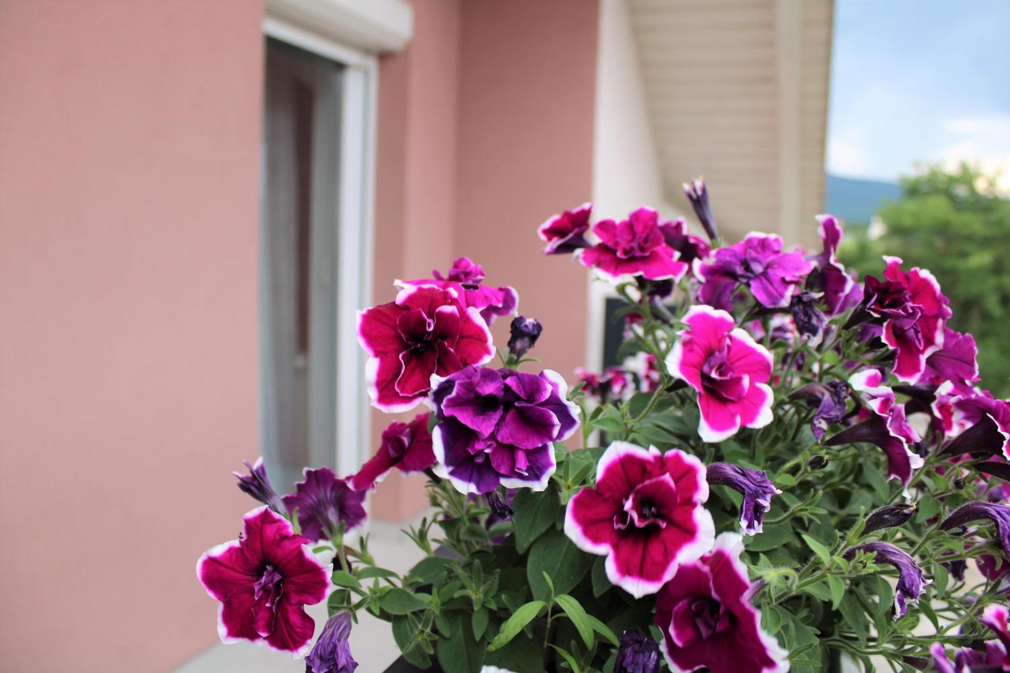 Apartman Swans Otočac Extérieur photo